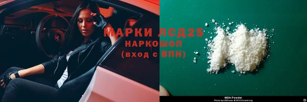 индика Абаза