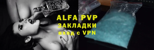индика Абаза