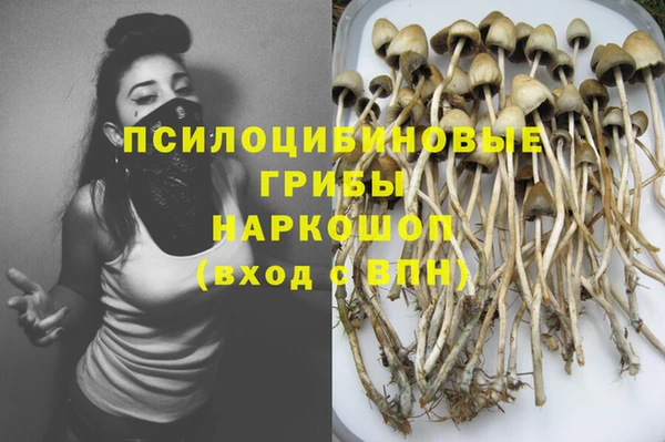 прущие грибы Алексеевка