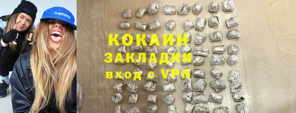 индика Абаза
