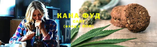 индика Абаза