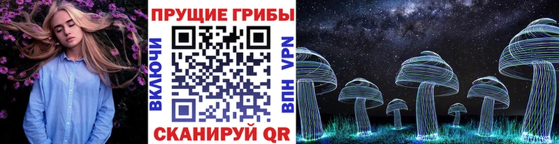 shop состав  Отрадное  Псилоцибиновые грибы Cubensis  как найти  
